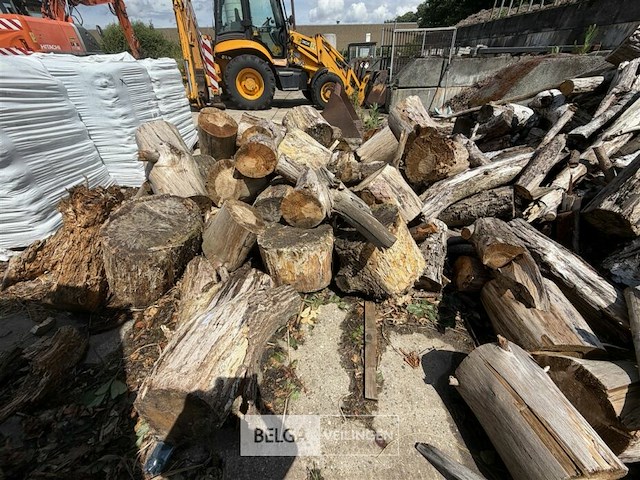 ± 15m³ hout - afbeelding 3 van  6
