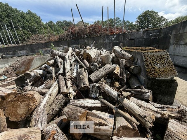 ± 15m³ hout - afbeelding 4 van  6