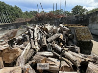 ± 15m³ hout - afbeelding 4 van  6