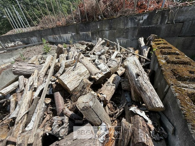 ± 15m³ hout - afbeelding 6 van  6
