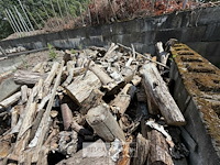 ± 15m³ hout - afbeelding 6 van  6