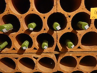 15x 75cl lupi reali trebbiano d'abruzzi organic - afbeelding 3 van  4