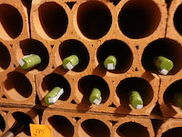 15x 75cl lupi reali trebbiano d'abruzzi organic - afbeelding 4 van  4