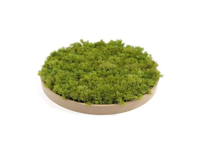 (15x) moscirkel 75 cm kleur limoengroen / aluminium frame met hout look wanddecoratie - afbeelding 2 van  5