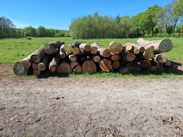 15x stère - afbeelding 1 van  1
