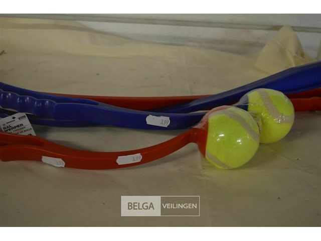 ±16 div soorten balwerpers voor de hond - afbeelding 3 van  3