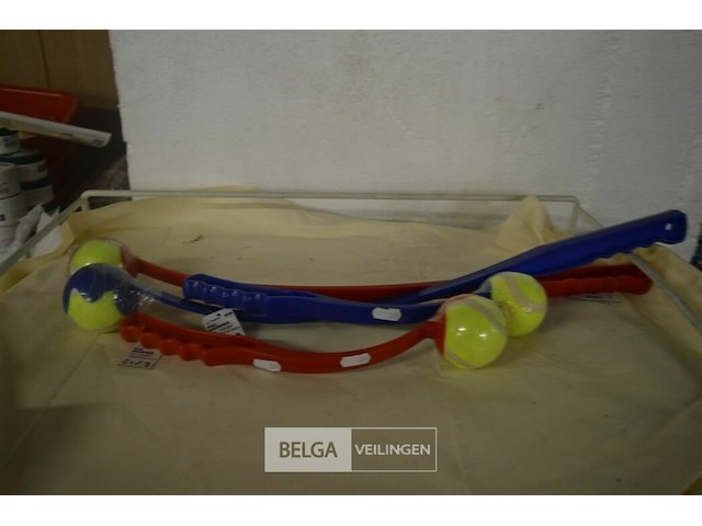 ±16 div soorten balwerpers voor de hond - afbeelding 1 van  3