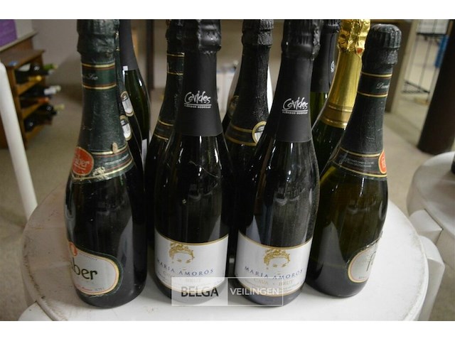 ±16 flessen schuimwijn of cava diverse soorten - afbeelding 1 van  3