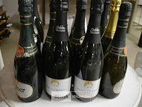 ±16 flessen schuimwijn of cava diverse soorten - afbeelding 1 van  3