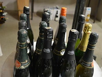 ±16 flessen schuimwijn of cava diverse soorten - afbeelding 2 van  3