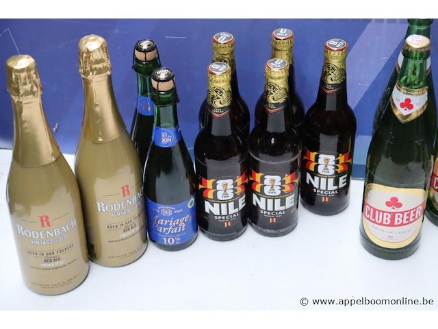 16 grote flessen diverse bier - afbeelding 2 van  3