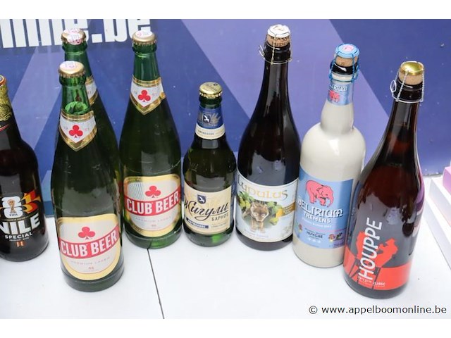 16 grote flessen diverse bier - afbeelding 3 van  3