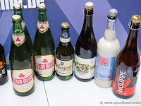 16 grote flessen diverse bier - afbeelding 3 van  3