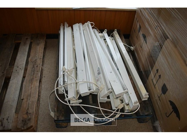 16 tl lampen - afbeelding 1 van  4