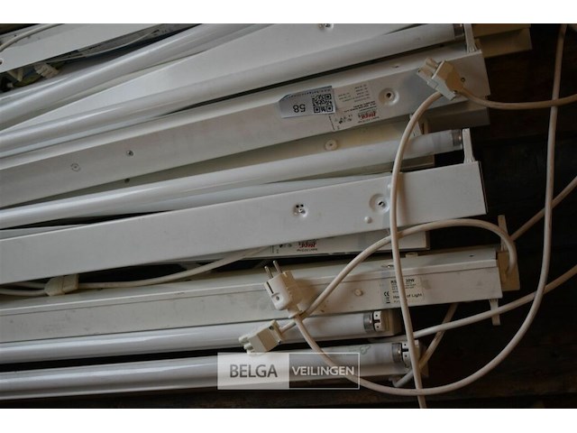 16 tl lampen - afbeelding 3 van  4