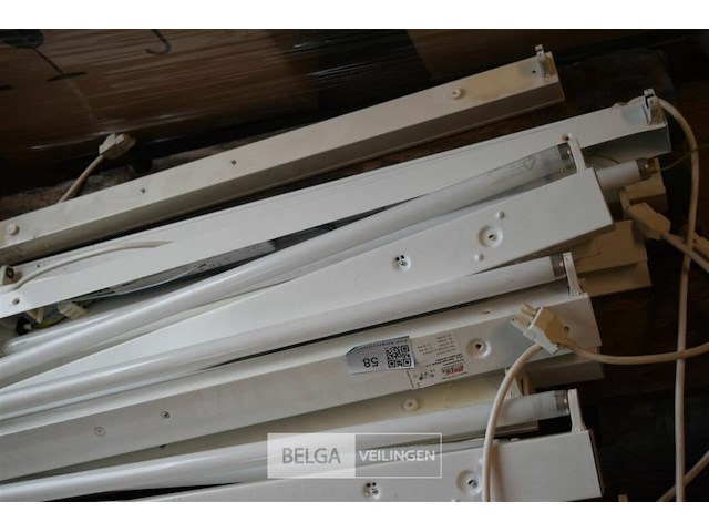 16 tl lampen - afbeelding 4 van  4