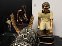 16 x petanquetrofee - afbeelding 3 van  3