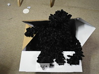 ±16 zwarte boa`s - afbeelding 2 van  2