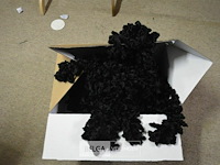 ±16 zwarte boa`s - afbeelding 2 van  2