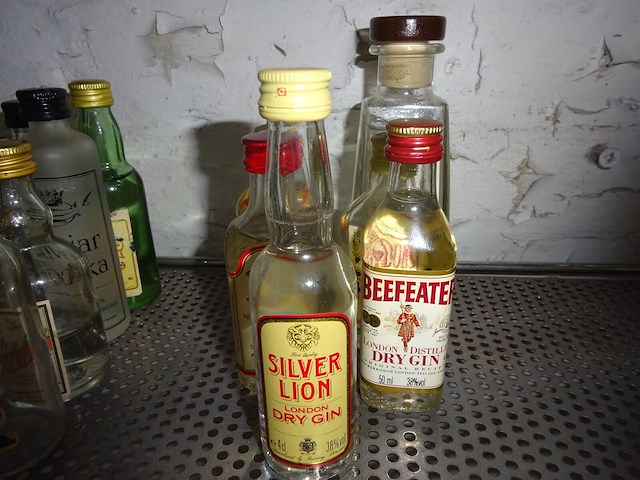 17 flesjes gin en vodka - afbeelding 2 van  2