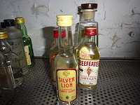 17 flesjes gin en vodka - afbeelding 2 van  2