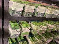 170 blisters bevestigingen - afbeelding 2 van  9