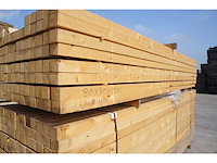 171,60 lm dennen kepers - afbeelding 5 van  5