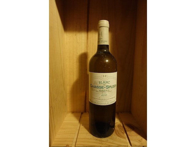 17x 75cl chateau chasse spleene 2010 - afbeelding 1 van  3