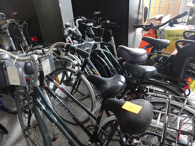 17x diverse damesfiets - afbeelding 9 van  11