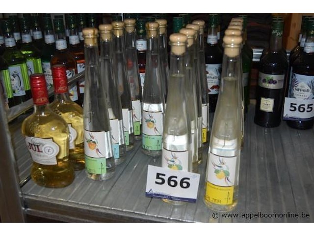 17x fles acquavite, pilzer, wo. acquavite di albicocche, acquavite di mele - afbeelding 1 van  3