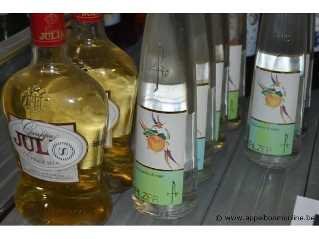 17x fles acquavite, pilzer, wo. acquavite di albicocche, acquavite di mele - afbeelding 2 van  3