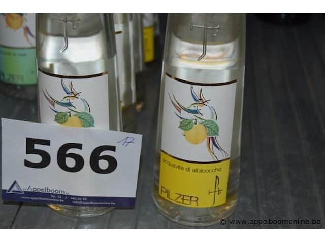 17x fles acquavite, pilzer, wo. acquavite di albicocche, acquavite di mele - afbeelding 3 van  3