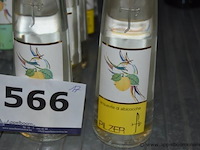 17x fles acquavite, pilzer, wo. acquavite di albicocche, acquavite di mele - afbeelding 3 van  3