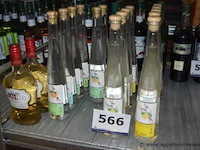 17x fles acquavite, pilzer, wo. acquavite di albicocche, acquavite di mele - afbeelding 1 van  3