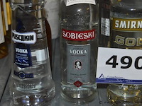 17x fles sterke drank, diverse merken (o.a. puschkin, sobieski, smirnoff, pastis) - afbeelding 2 van  4