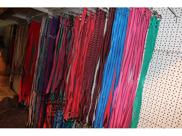 ±180 x hals- en leibanden voor honden - afbeelding 1 van  2