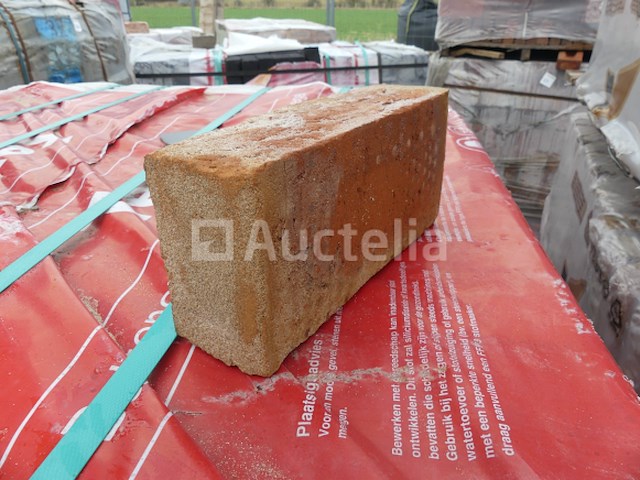 1860 vandersanden bakstenen oude maas - afbeelding 4 van  6