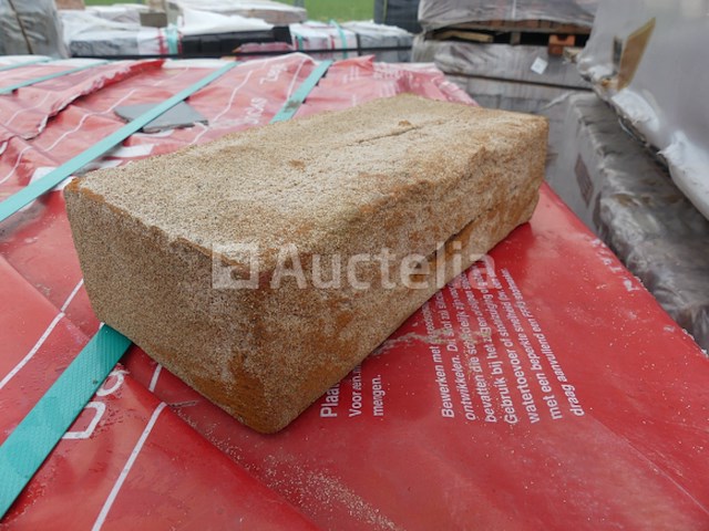 1860 vandersanden bakstenen oude maas - afbeelding 6 van  6