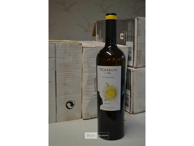 18x 75cl teanum alta falanghina - afbeelding 1 van  4