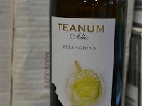 18x 75cl teanum alta falanghina - afbeelding 2 van  4
