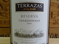 18x 75cl terrazas de los andes 2010 - afbeelding 2 van  4