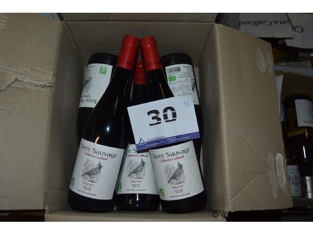 18x fles rode wijn, terre sauvage gilbert & gaillard, merlot pays d'oc 2018, 750ml - afbeelding 1 van  3