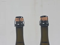 (18x) fles(sen) spumante odd bird 75 - afbeelding 4 van  5