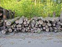 18x stère
