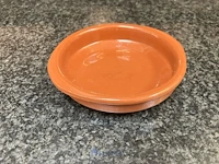 19 schaaltjes