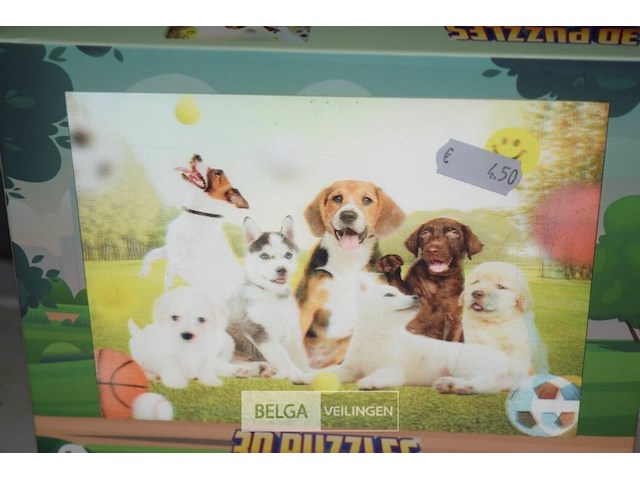 ±19 st 3d puzzels - afbeelding 3 van  4