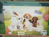 ±19 st 3d puzzels - afbeelding 3 van  4