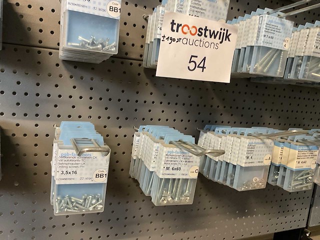 190 blisters met schroeven - afbeelding 8 van  8