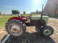 1954 massey ferguson tef 20 petit gris antieke tractor - afbeelding 19 van  22
