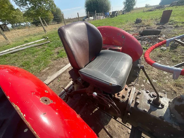 1954 massey ferguson tef 20 petit gris antieke tractor - afbeelding 7 van  22